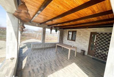 Casă cu 4 camere cu Teren 1000 Mp în Mitreni - 17