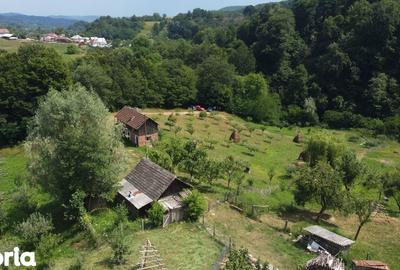 Teren de 6200 mp, în Cicănești - 14