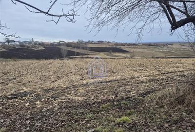 Teren de 2000 mp, în Moara - 1