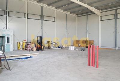 Spatiu de depozitare/productie de inchiriat - Zona de Vest Spatiu de depozitare/productie de inchiriat - Zona de Vest - 3