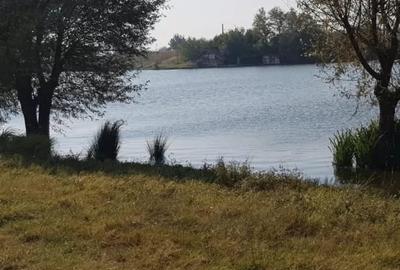 Teren în Vidra - 6
