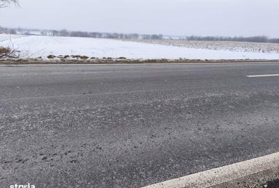 Teren de 6000 mp, în Horodnic - 2