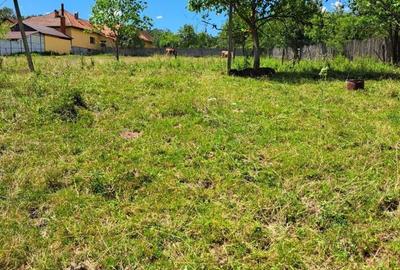 Spațiu comercial, în Bercești - 10