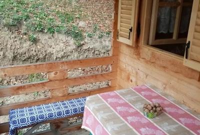 Teren intravilan + cabana 920mp in Cisnadioara - 3