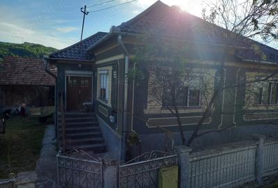 Casă cu 3 camere cu Teren 1000 Mp în Rusu de Sus - 4