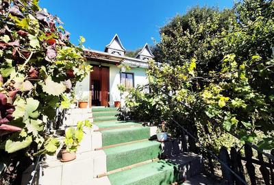 Casă cu 3 camere cu Teren 300 Mp în Dancu - 11