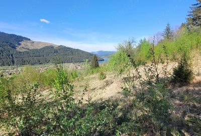 Teren de 5000 mp, în Ceahlău - 5