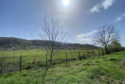 Teren intravilan cu grajduri si anexe Aninoasa AG - 3