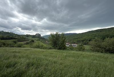 Teren agricol extravilan de 4000 mp, în Ampoița - 1