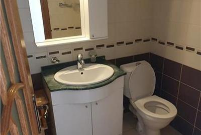 Vila deosebita de inchiriat, 200 mp, in Moara Nica, central - 18