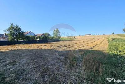 Teren de 7500 mp, în Moara - 3