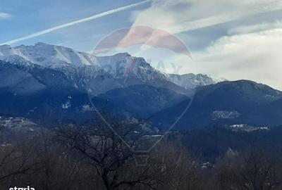 Spațiu comercial, în Predeluț