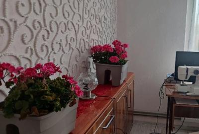 Apartament cu 3 camere semidecomandat în Micălaca - 10