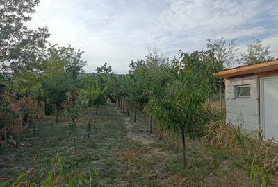Casa cu curte si gradina - zona linistita si frumoasa Casa cu curte si gradina - zona linistita si frumoasa - 4