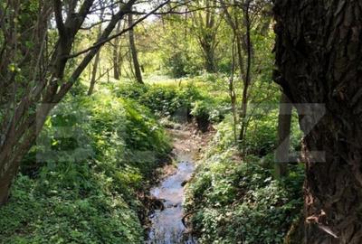 Rate la proprietar Casa individuala 75 mp, teren 1600mp , V - 2