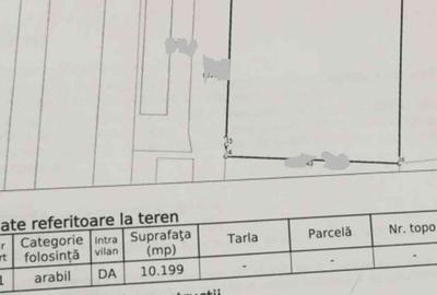 Spațiu comercial, în Central - 3