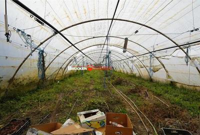 Casă cu Teren 2877 Mp în Mihai Bravu - 11