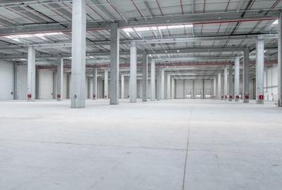 Spațiu industrial, 249500 mp în Chitila - 2