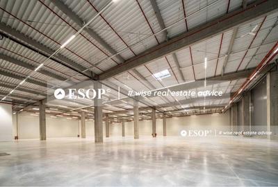 Spațiu comercial, de 5,000 mp, în Brătulești - 2