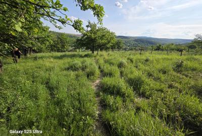 Teren de 3600 mp, în Parava - 2