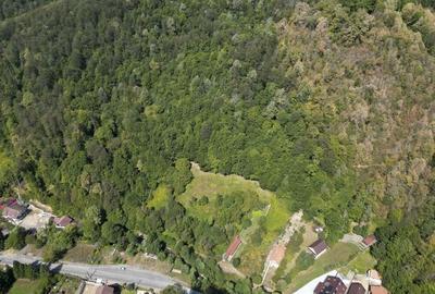 Teren intravilan de 1500 mp pe deal in Moneasa - 2