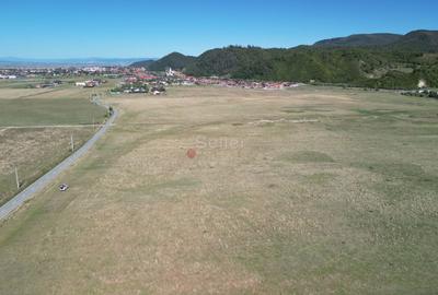 Teren extravilan Rasnov - 4