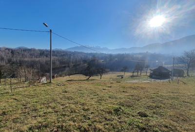 Teren rezidential zona Bran Tohanita zona de case - 3