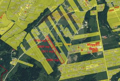 Comision 0! Teren Rasnov- Strada Valea Panicelului, 2263mp - 8