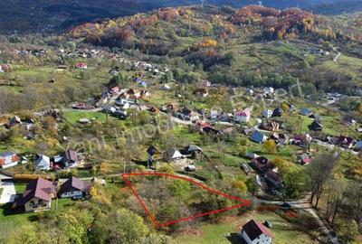 Teren de vanzare in comuna Arefu, jude? Arge?. - 5