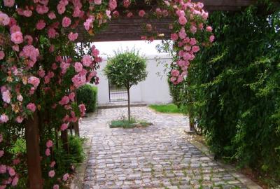 Casă cu 3 camere în Dănești - 7