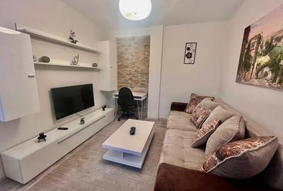 Apartament cu 2 camere semidecomandat, mobilat în Moșilor - 2