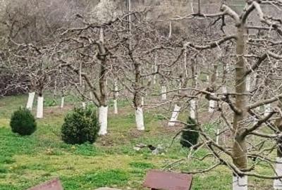 Casă individuală cu 2 camere cu Teren 2800 Mp în Boțești - 2