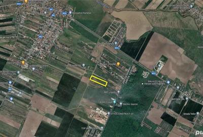 Inchiriez 10.000 mp - teren intravilan langa Padurea Ileana - Dragomiresti - 1