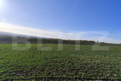 Teren de 20300 mp, în Miroslava - 1