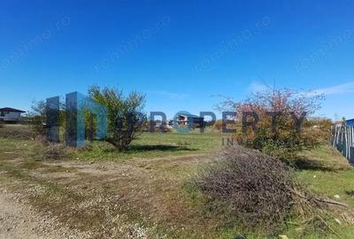 Corbeanca - Tamasi | Teren 1225mp, deschidere 44ml | Utilitati in proximitate - 14