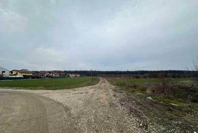 Spațiu comercial, în Gulia - 2