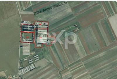 Teren Construcții intravilan de 120000 mp, în Teiu - 1