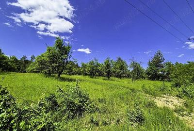 Teren intravilan Cotmeana Arges - 3