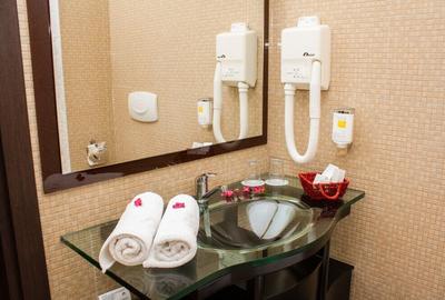 Vanzare Hotel- Moieciu - 10