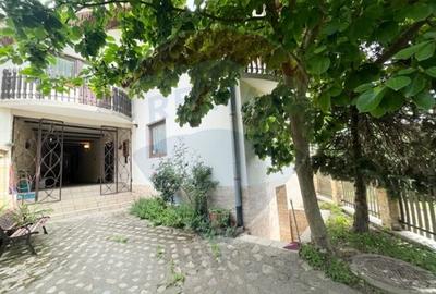 Casă individuală cu 7 camere cu Teren 167 Mp în Sibiel - 14