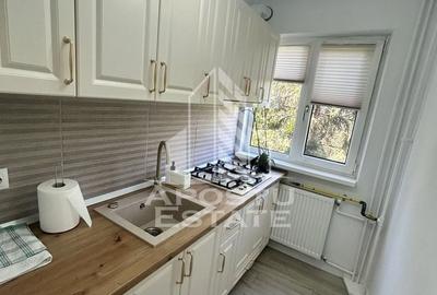 Apartament cu 2 camere nedecomandat, mobilat în Dacia - 5