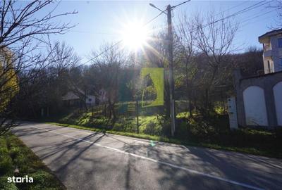 Spațiu comercial, în Leamna de Jos - 1