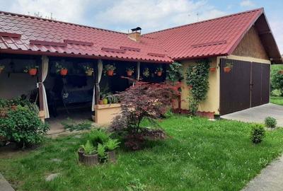 Casă cu Teren 1000 Mp în Mărăcineni - 9