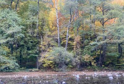 Casă cu 3 camere în Băile Herculane - 2
