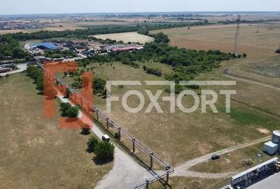 Teren intravilan industrial 10.000 mp - zona Calea Sagului - 6