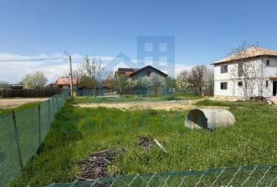 Teren în Braniște (Podari) - 4