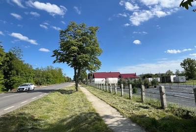 Teren de 3000 mp, în Buhuși - 6