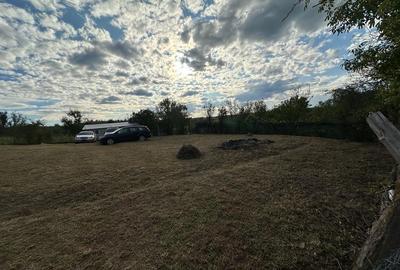 Spațiu comercial, în Soceni - 6