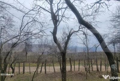 Teren în Schiulești - 9