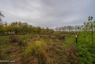 Teren în Afumați - 16